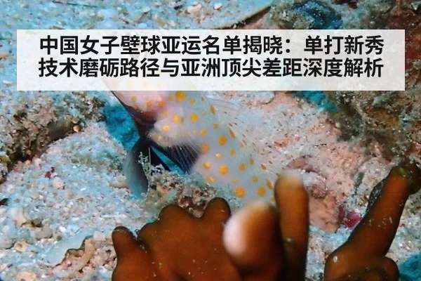 中国女子壁球亚运名单揭晓：单打新秀技术磨砺路径与亚洲顶尖差距深度解析
